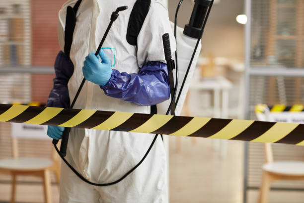 Professional Sewage Cleanup technician working in Somerville, NJ